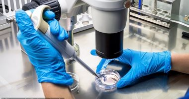 بعد رفض صادم.. FDA تعيد فتح ملف علاج نادر لسرطان الدم