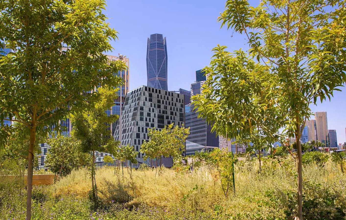 البرنامج الوطني للتشجير يوقع مذكرات تعاون إستراتيجي لزراعة 8 ملايين شجرة