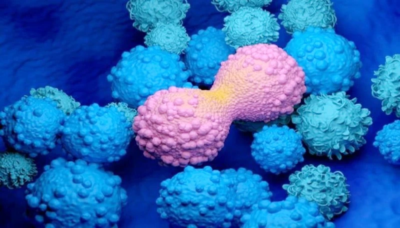 اكتشاف علمي يفتح باباً جديداً لفهم نشوء السرطان مبكراً
