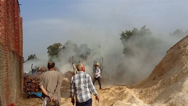 السيطرة على حريق مصنع نشارة في الغربية (فيديو)