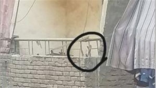 إنقاذ قطة محتجزة بشرفة عقار في شبرا