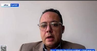 خبير: تقدم مصر بصادرات التكنولوجيا يعكس الاستثمار في البنية الرقمية