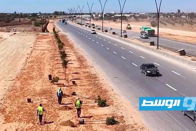 جمعية حماية الحياة البرية تحذر من زراعة أشجار «الفيكس» بطريق المطار في طرابلس