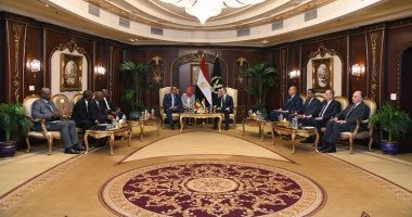 وزير الداخلية يبحث مع نظيره بمالي استراتيجية مكافحة الإرهاب والجرائم السيبرانية