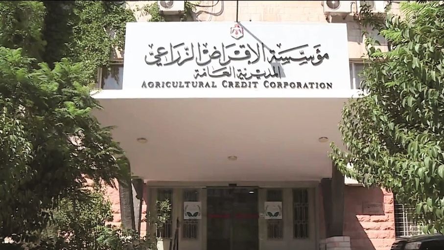 لدعم الزراعة.. استحداث نماذج جديدة من الإقراض تتخطى التحديات