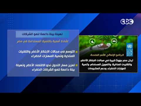 تهيئة بيئة داعمة لنمو الشركات.. إشادة أممية بالتنمية المستدامة في مصر
