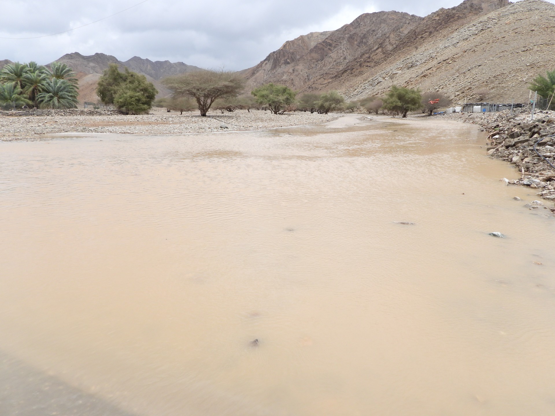 هطول أمطار على عدد من ولايات ومحافظات سلطنة عُمان
