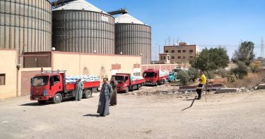 موسم واعد في الفيوم.. انطلاق حصاد القمح مبكرًا بالظهير الصحراوي.. زيادة المساحات المنزرعة 25 ألف فدان عن العام الماضي.. وتخصيص 13 موقعًا تخزينيًا لاستلام المحصول.. والمحافظ: الأمن الغذائي على رأس أولو