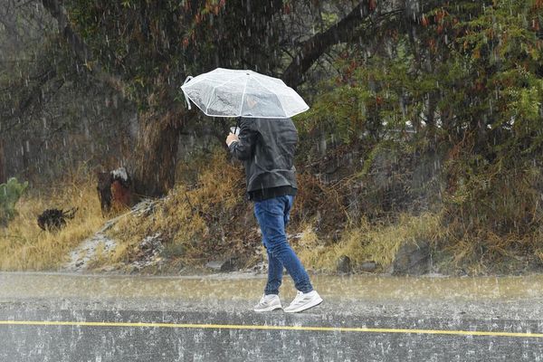 أمطار رعدية متوسطة إلى غزيرة على معظم مناطق المملكة