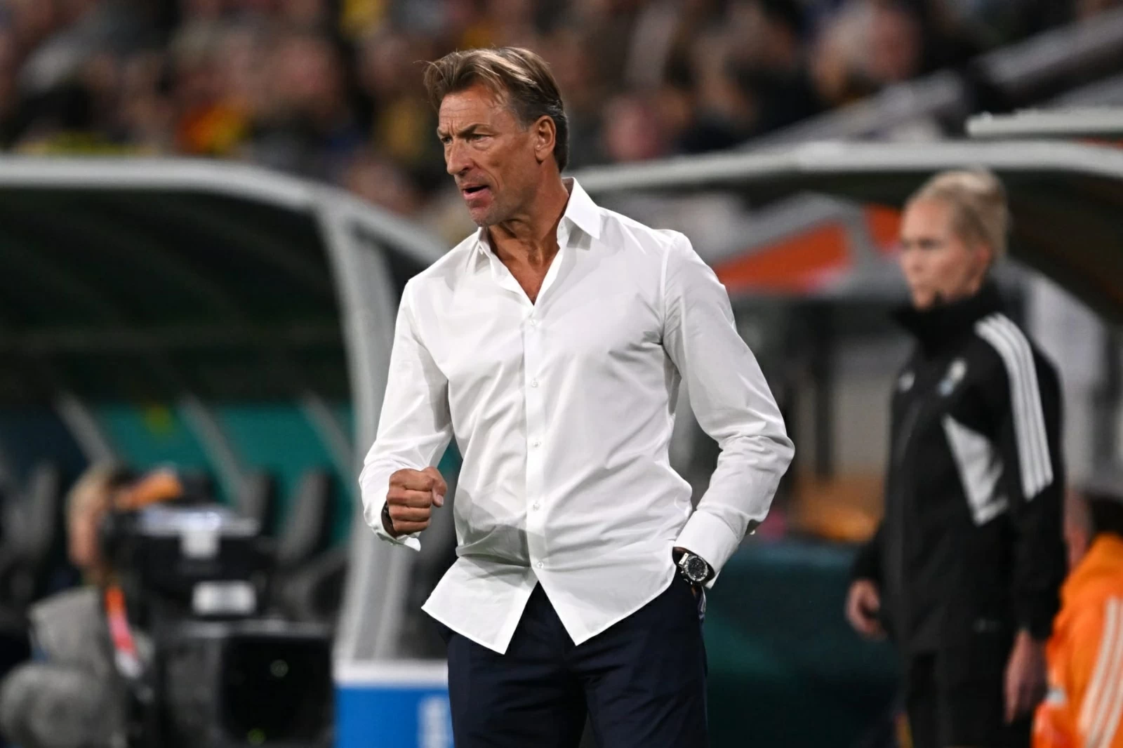 بعد أقل من أسبوعين على تعيينه.. رينارد يغادر تدريب منتخب تونس