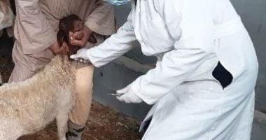 دليلك الشامل للوقاية من "جدري الأغنام"