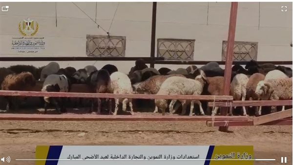 «الزراعة»: منع الذبح العشوائي و497 مجزرًا حكوميًا مجانا طوال أيام عيد الأضحى