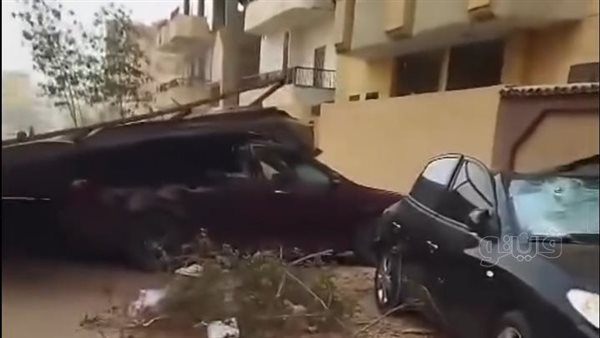 الطقس الآن، رياح قوية بالشرقية تتسبب في سقوط شجرة وتوقف حركة المرور(صور)