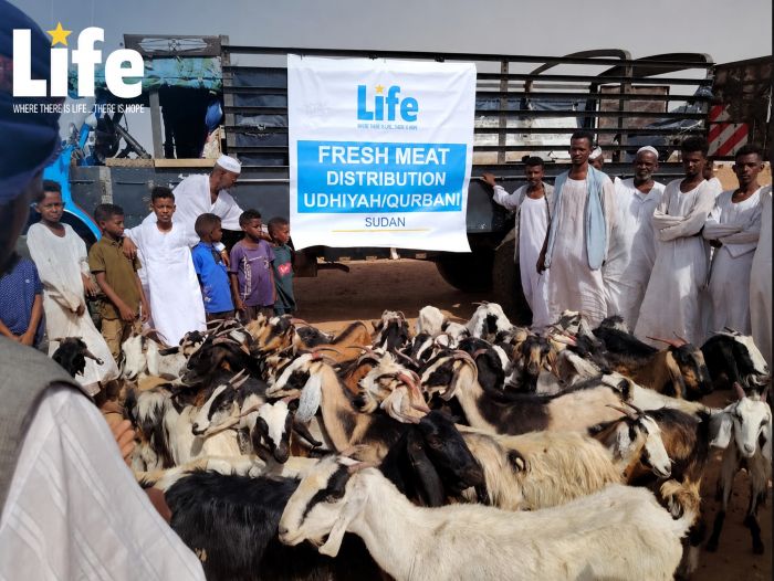 لايف للإغاثة والتنمية تكثف جهودها لمواجهة المجاعة في السودان: تفاقم الجوع والفقر يضع المنظمات الإنسانية أمام تحديات متزايدة!
