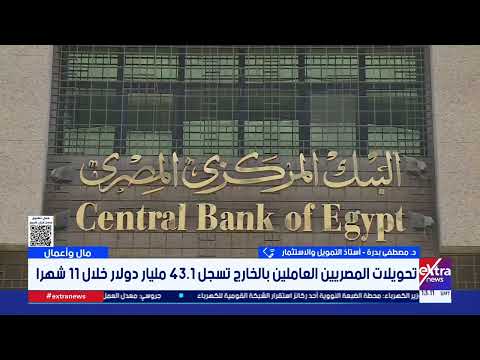 د. مصطفى بدرة يوضح دلالات وانعكاسات ارتفاع تحويلات المصريين العاملين بالخارج على الاقتصاد المصري