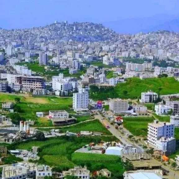 مأساة إنسانية تزلزل قرية ”الجديد” بإب: تسميم ”عصب الحياة” وتدمير مصدر رزق أسرة بأكملها