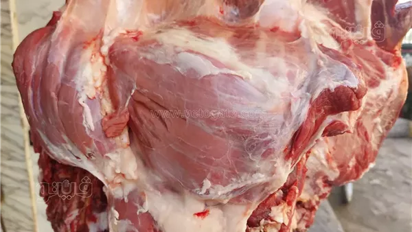 "شعبة القصابين" تكشف سبب ارتفاع أسعار اللحوم في الأسواق قبل أيام من رمضان