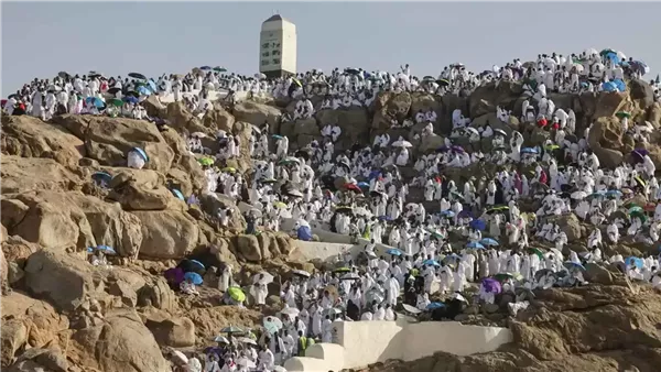 حجاج بيت الله الحرام يتوافدون إلى صعيد عرفات لأداء الركن الأعظم (فيديو)