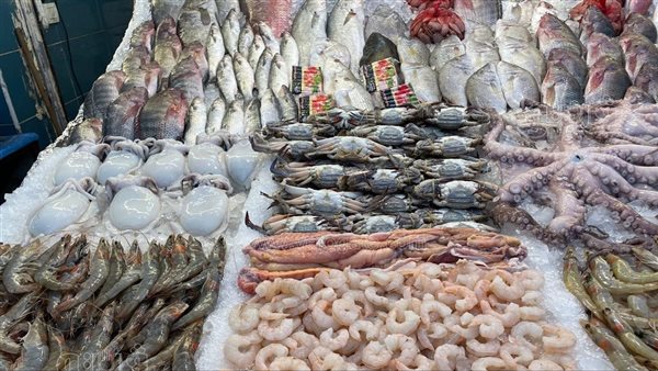 سعر السمك اليوم، ارتفاع البلطي 8 جنيهات وانخفاض كبير في المكرونة والجمبري والكابوريا