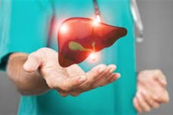 ماذا يحدث للكبد عند الإفراط في تناول الدهون والسكريات؟