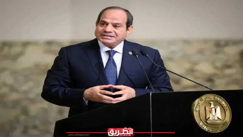 الرئيس السيسي: ضرورة توفير بيئة جاذبة وداعمة للاستثمارات النوعية في المجال الصحي