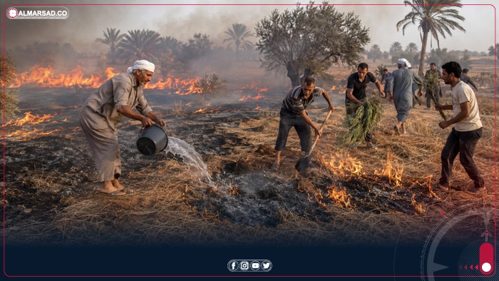 بلدية غات: تضرر 11 مزرعة ونفوق 15 رأس غنم جراء حريق بالمشروع الزراعي