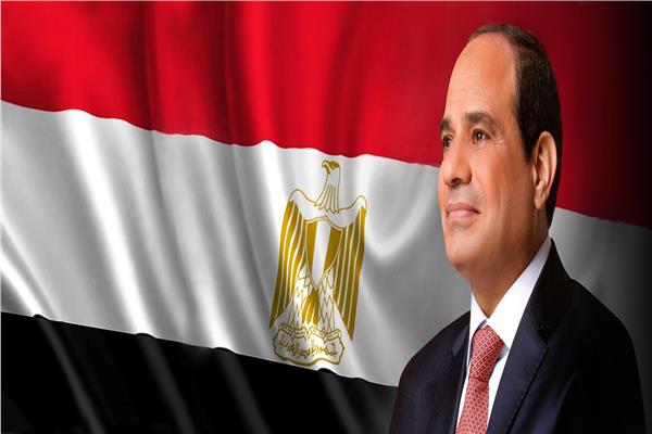 شراكة استراتيجية.. تفاصيل كلمة السيسي خلال مؤتمر مع رئيس فنلندا