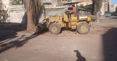 رفع المخلفات بمحيط صهريج بن بطوطة الأثرى فى اللبان الإسكندرية