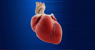 7 نصائح غذائية فى الصيف لحماية القلب