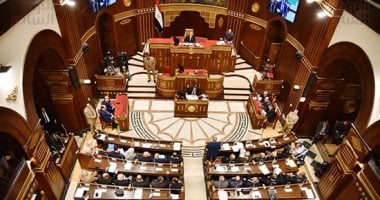 اقتراح برغبة فى الشيوخ لتشكيل المجالس المحلية باعتبارها ضرورة خدمية وأمنية