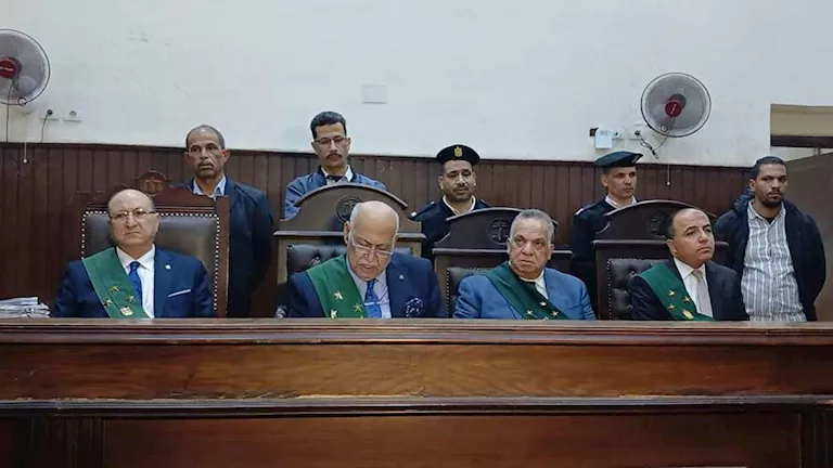 الجنايات تعاقب المتهمين بهتك عرض "طالبة العمرانية" بأحكام رادعة
