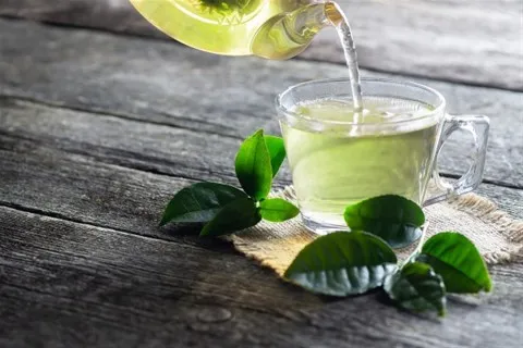 الشاي الأخضر ومقاومة الأنسولين.. مشروب طبيعي لدعم توازن السكر في الدم