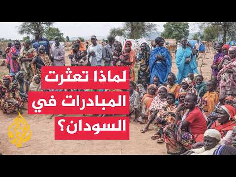 Sudanese Writer: Rapid Support Forces Are Open to Peace, Unlike the Sudanese Army