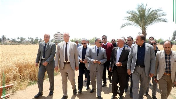 محافظ الشرقية يشهد أعمال موسم حصاد القمح بأبو سمران في بلبيس