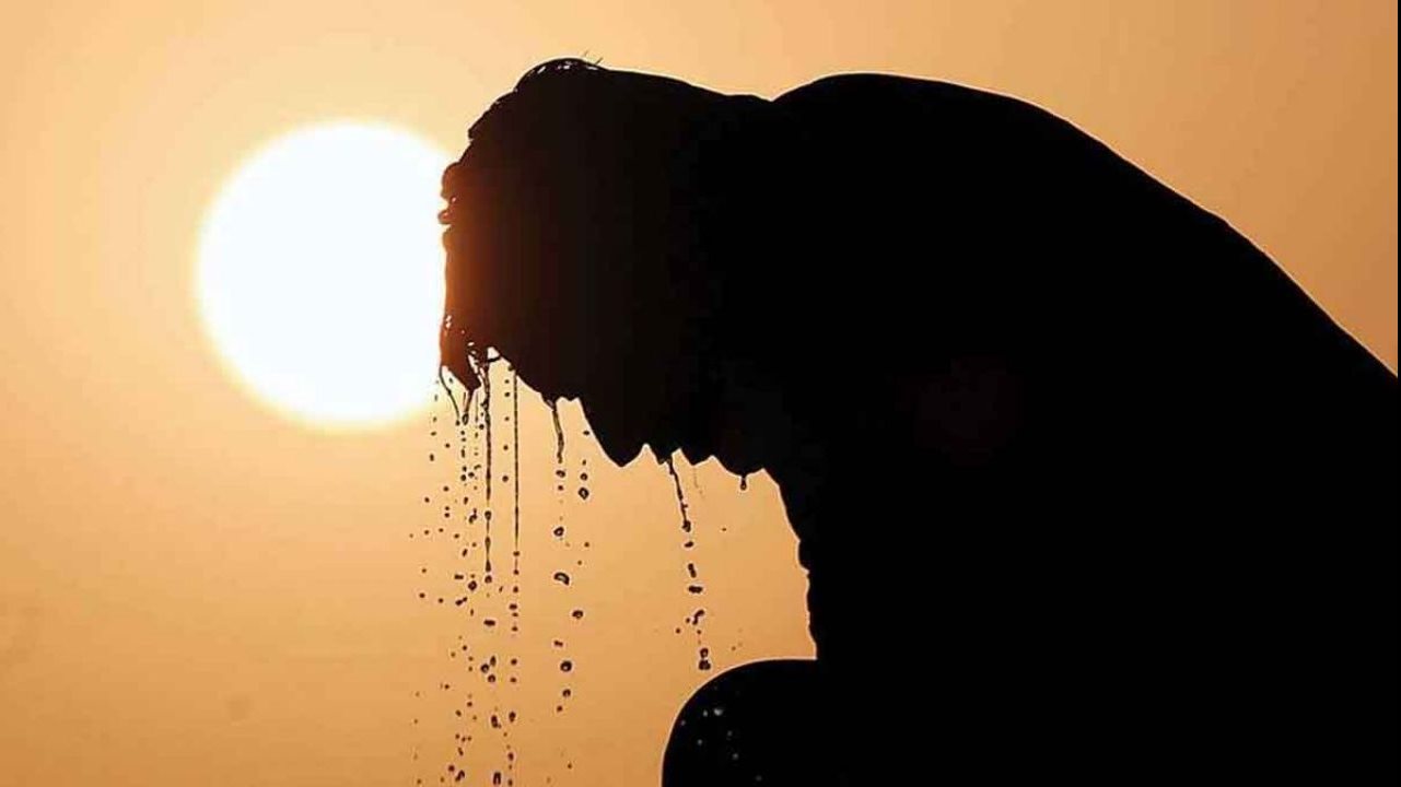 موجة حر غير مسبوقة تهدد الزراعة في مصر.. المناخ يضغط والمحاصيل تدفع الثمن