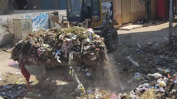 حملات نظافة مكثفة بقرى دمنهور استعدادًا لاستقبال عيد الأضحى المبارك