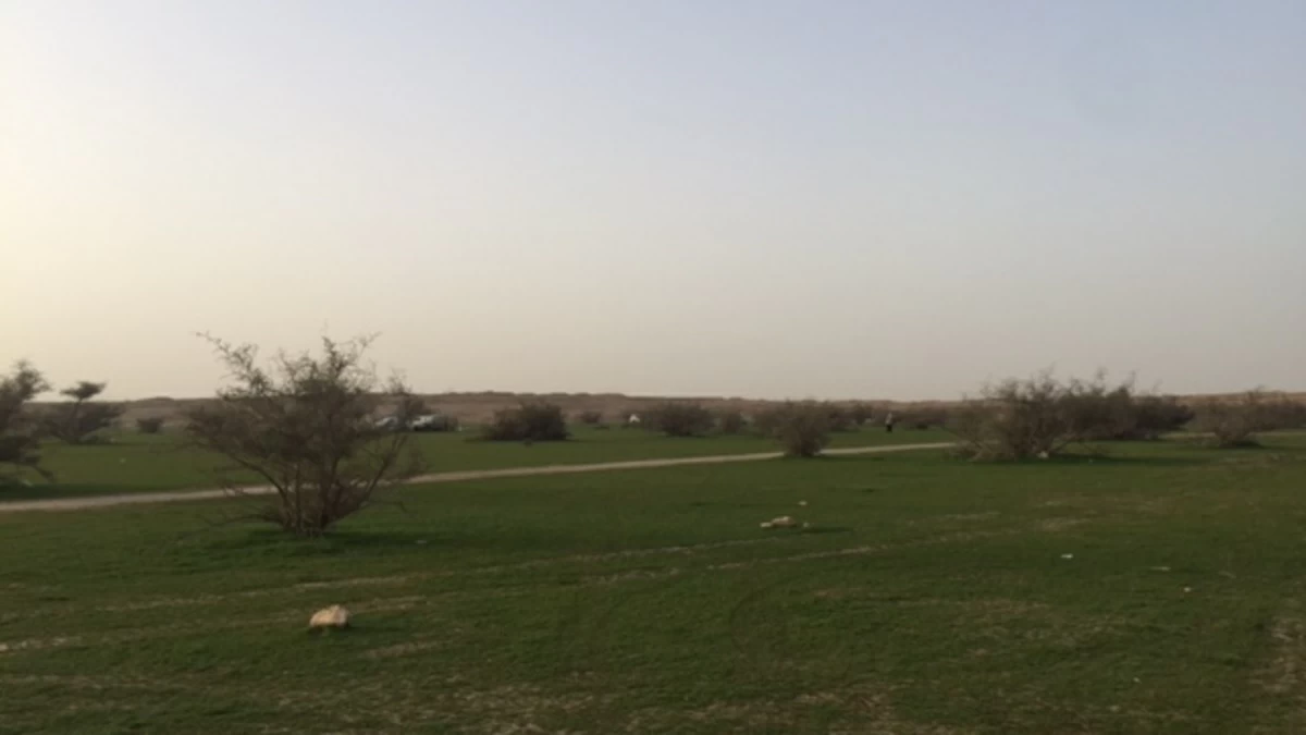 بدء فصل الربيع فلكياً اليوم في السعودية