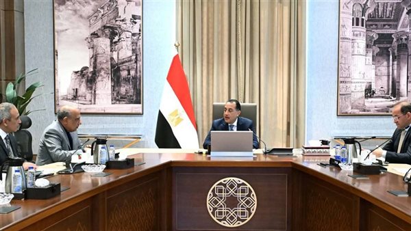 رئيس الوزراء يتابع إجراءات توفير التمويل المطلوب لمشروعات الطاقة الجديدة والمتجددة