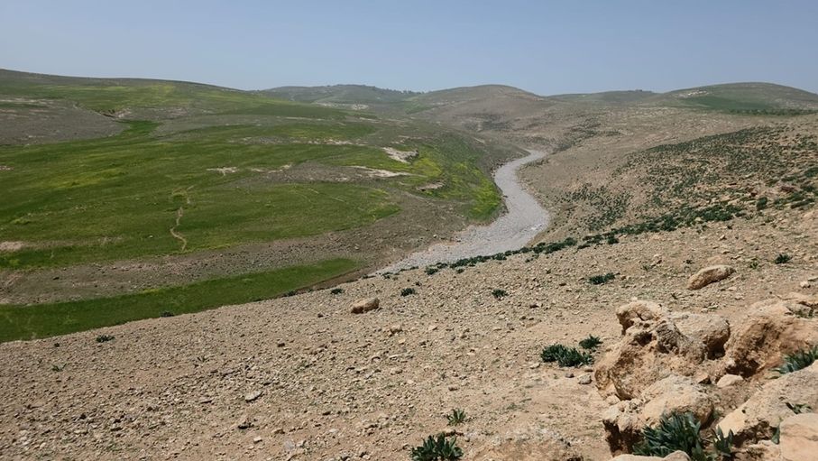 الكرك تترقب تنفيذ مشاريع السدود الجديدة لتحسين التزويد المائي ودعم الزراعة