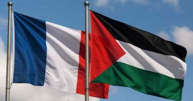 فرنسا: أولوية قصوى لسلامة رعايانا بعد اعتراض أسطول متجهًا إلى غزة