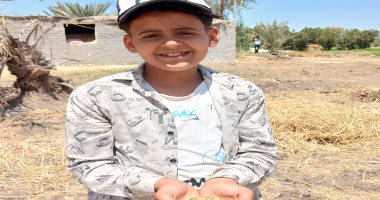 حصاد 270 ألف فدان من الذهب الأصفر بالشرقية