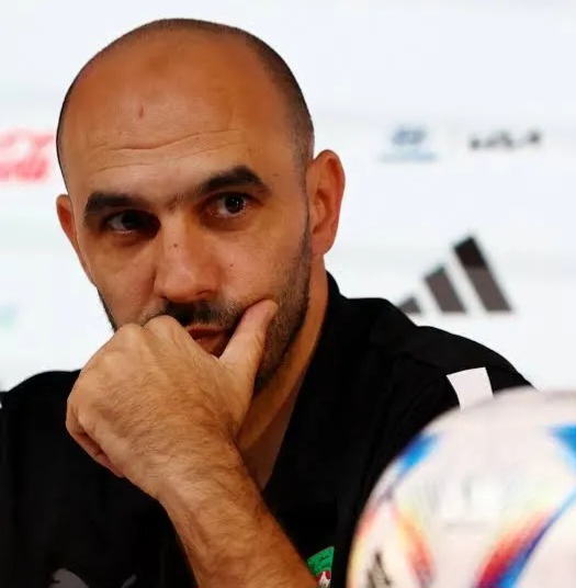 المغرب: الركراكي يغادر ومواطنه هبي يتولى تدريب الأسود