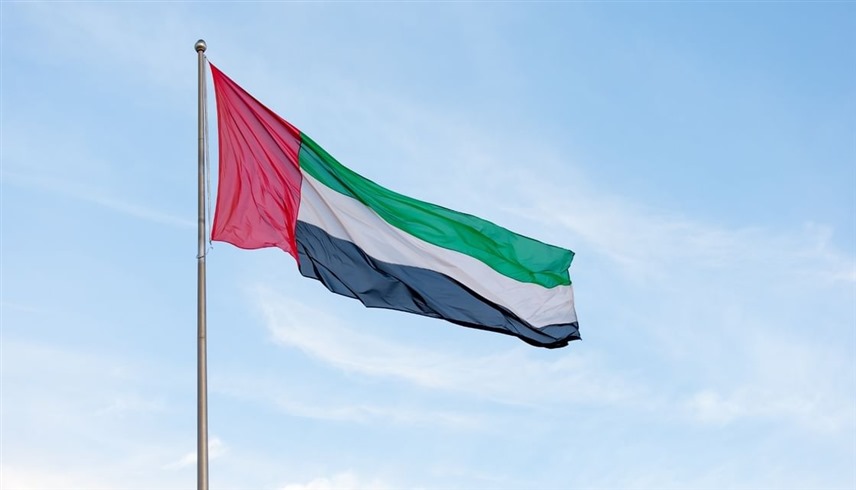الإمارات.. مبادرات ومساهمات مالية للقضاء على الملاريا حول العالم