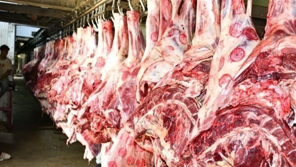 أسعار اللحوم الحمراء اليوم الأربعاء 11 فبراير 2026