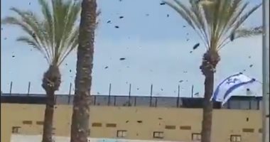 هجوم أسراب من النحل تثير حالة من الذعر فى جنوب إسرائيل