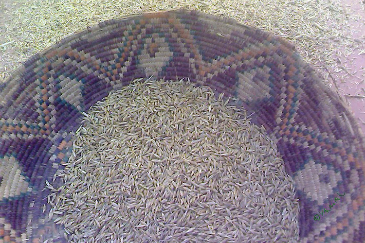 العائلات الغليزانية تتسابق على شراء "المرمز" عشية رمضان