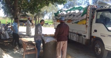 توريد 3353 طن قمح لمواقع التخزين والصوامع على مستوى محافظة الدقهلية
