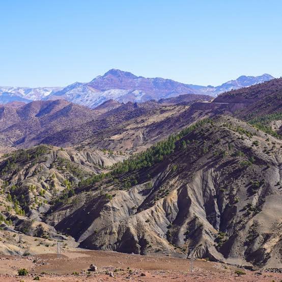 اكتشاف جيولوجي بالأطلس الكبير.. يعيد قراءة تاريخ الحياة في أعماق البحار