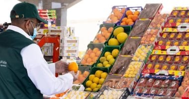 خبير لإكسترا نيوز: المحافظون الجدد ركيزة لجذب الاستثمار وضبط الأسواق