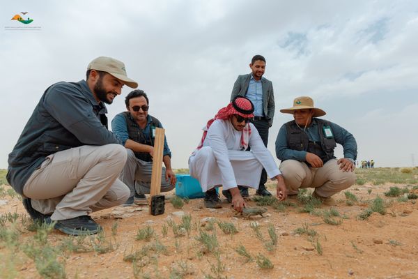 إطلاق عدد من الكائنات الفطرية في محمية الإمام عبدالعزيز